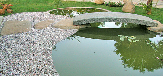 Auryaj will intricately blend our granite stone carvings and sculptures with beautiful pool designs